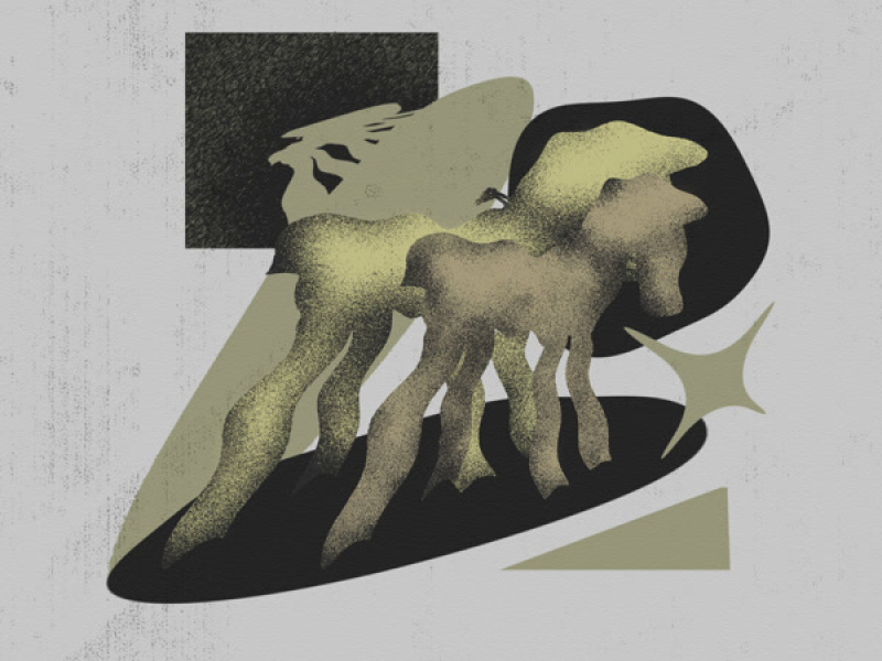 little horse (Single)