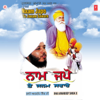 Naam Japo Te Janam Sawaro Vol-8