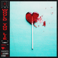 Would You Lie (Single)