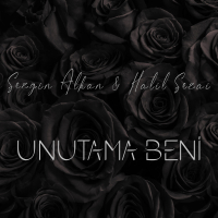 Unutama Beni (Single)