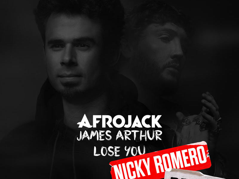 Lose You (Nicky Romero Remix) (Single)