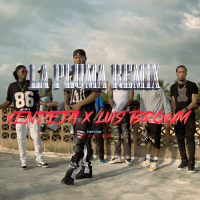 La Pluma (Remix) (Single)