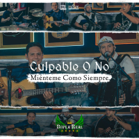 Culpable O No - Míenteme Como Siempre (Single)