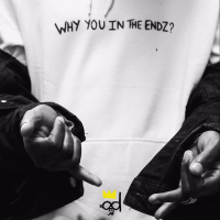 Why You in the Endz? (Single)