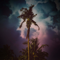 Tropical Storm Sounds for Deep Meditation and Instant Relaxation (Single)