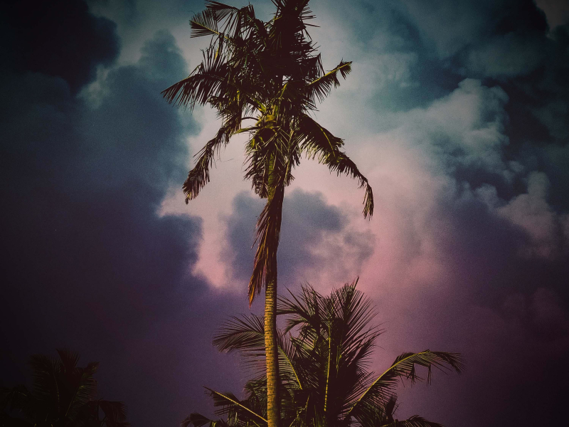 Tropical Storm Sounds for Deep Meditation and Instant Relaxation (Single)
