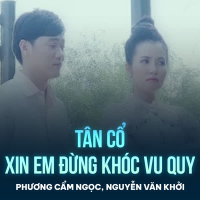 Tân Cổ Xin Em Đừng Khóc Vu Quy (Single)