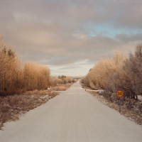 Polar Affection (Single)