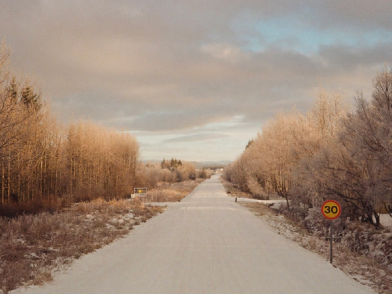 Polar Affection (Single)