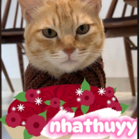 Có Những Lúc Anh Yêu Em (Single)