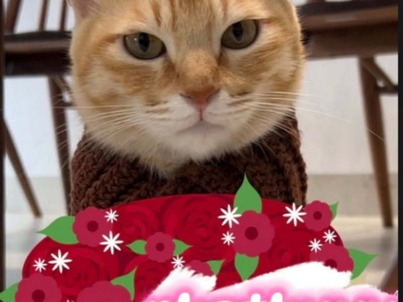 Có Những Lúc Anh Yêu Em (Single)