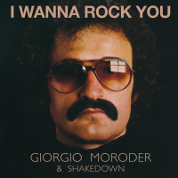 I Wanna Rock You (Shakedown Mix) (Single)