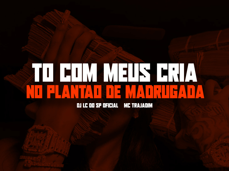 TO COM MEUS CRIA NO PLANTÃO DE MADRUGADA (Single)