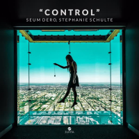 Control (Single)