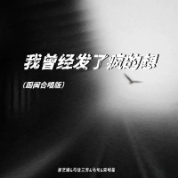 我曾经发了疯的想 (国闽合唱版) (Single)