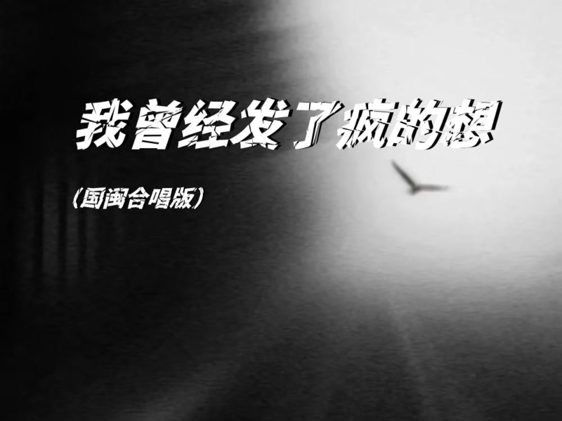 我曾经发了疯的想 (国闽合唱版) (Single)