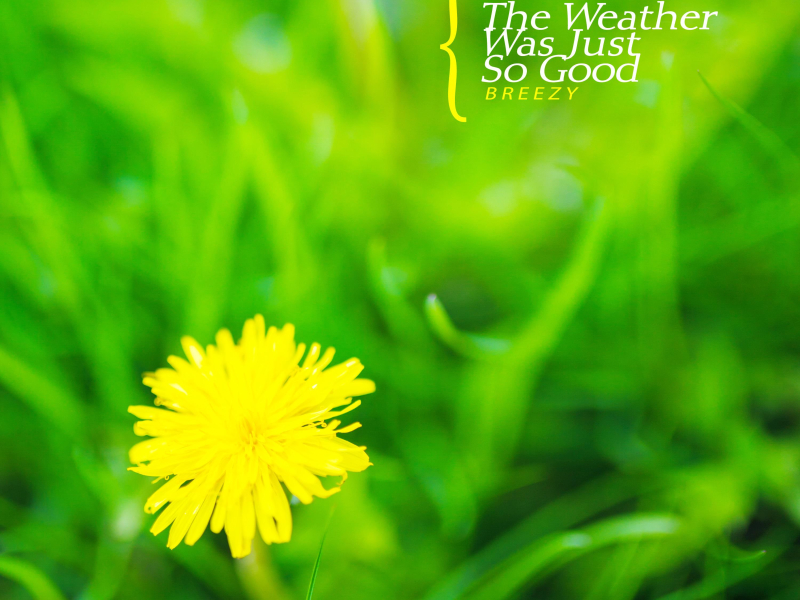 It's just the weather (EP)