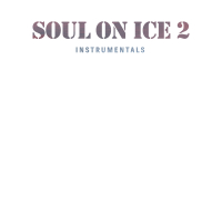 Soul on Ice 2 Instrumentals