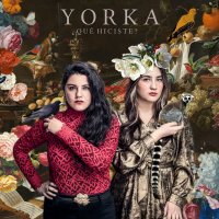 ¿Qué Hiciste? (Single)