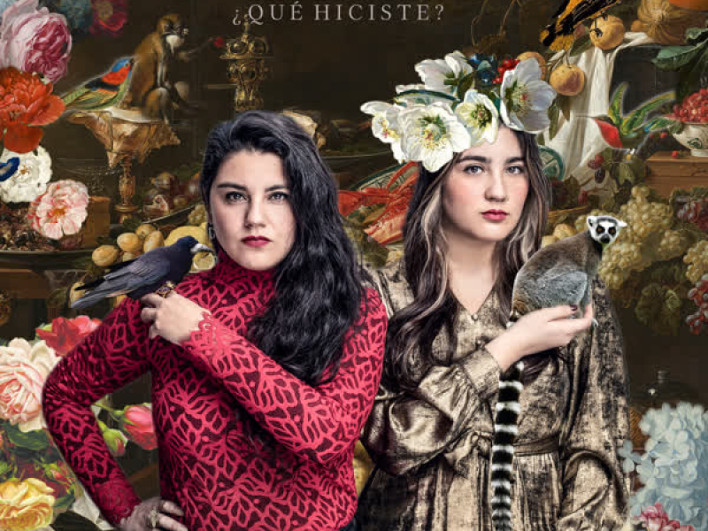 ¿Qué Hiciste? (Single)