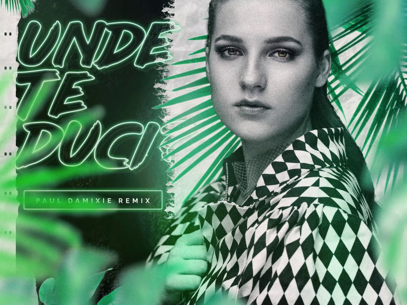 Unde te duci? (Paul Damixie Remix) (EP)