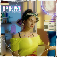 PEM (Single)
