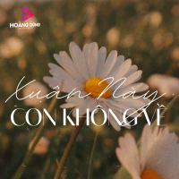 Xuân Này Con Không Về