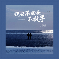 说好不回头不放手 (Dj浩然版) (Single)