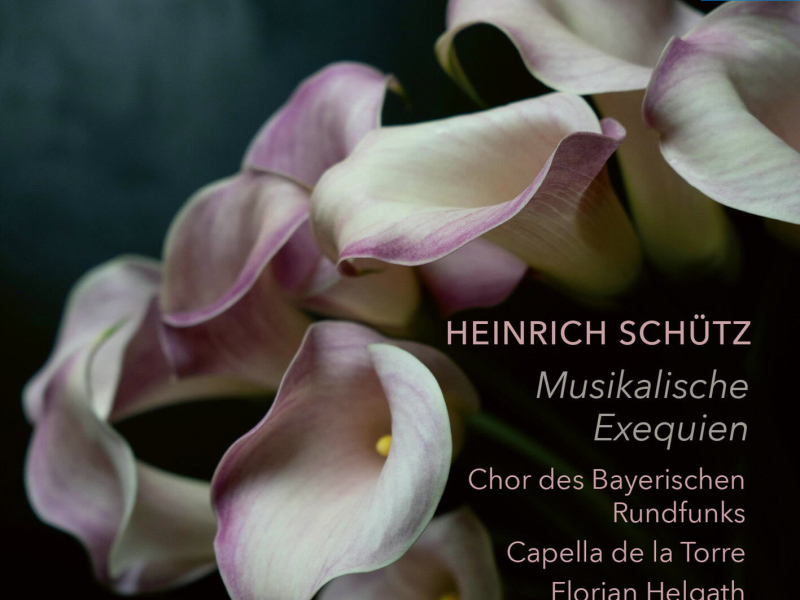 Pavane de la tromba hollandica (Single)