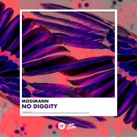 No Diggity (Single)