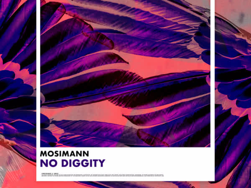 No Diggity (Single)