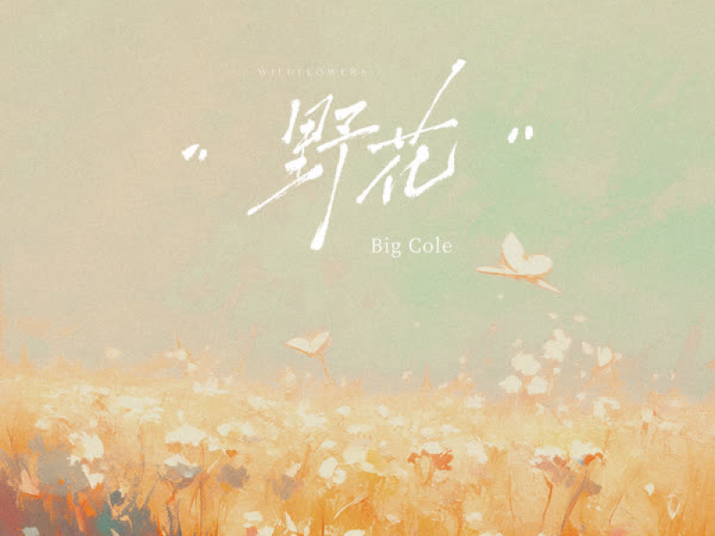 野花 (Single)