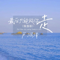 最后只能放你走 (DJ俊海版) (Single)
