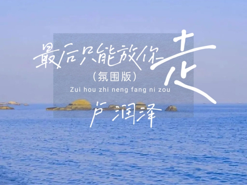 最后只能放你走 (DJ俊海版) (Single)