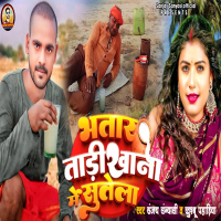 Bhatar Tadi Khana Mein Sutela (Single)