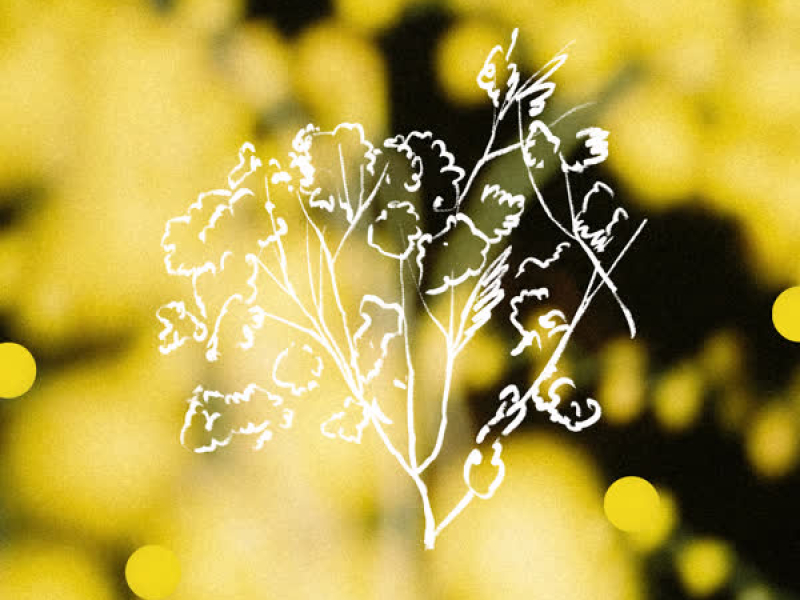 Ventilate (Monkey Safari Remix) (Single)