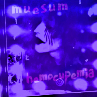 Hemocupemia And The Lost Art of Trespassing