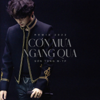 Cơn Mưa Ngang Qua (Remix 2022)