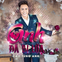 Anh Đã Bị Lừa (Single)