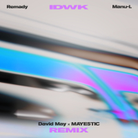 IDWK (David May & MAYESTIC Remix) (Single)