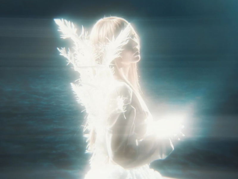 the lonely tree (what is this place) (Single)