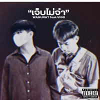 เจ็บไม่จำ (Single)
