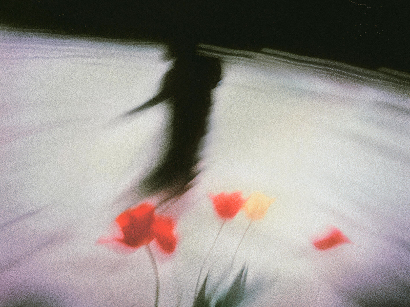 Nothing to Lose (Single)