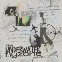 Underwater Flyzone (Single)