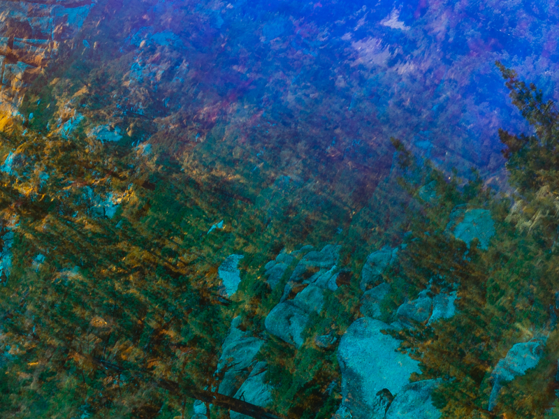 Wanted, Never Asked (Single)