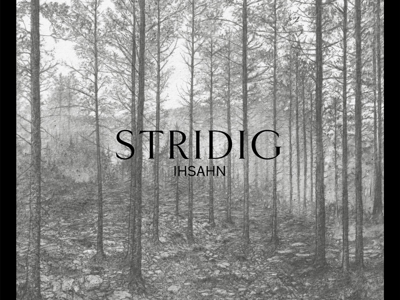 Stridig (Single)