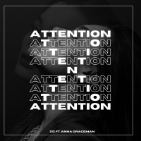 Attention (Single)