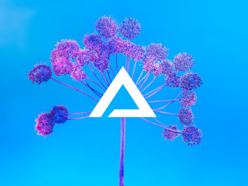 Love Me Like You Used To (Single)