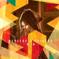 Perceba a Criação 2.0 (Single)