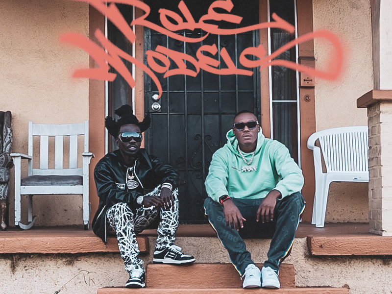 Role Models (Single)